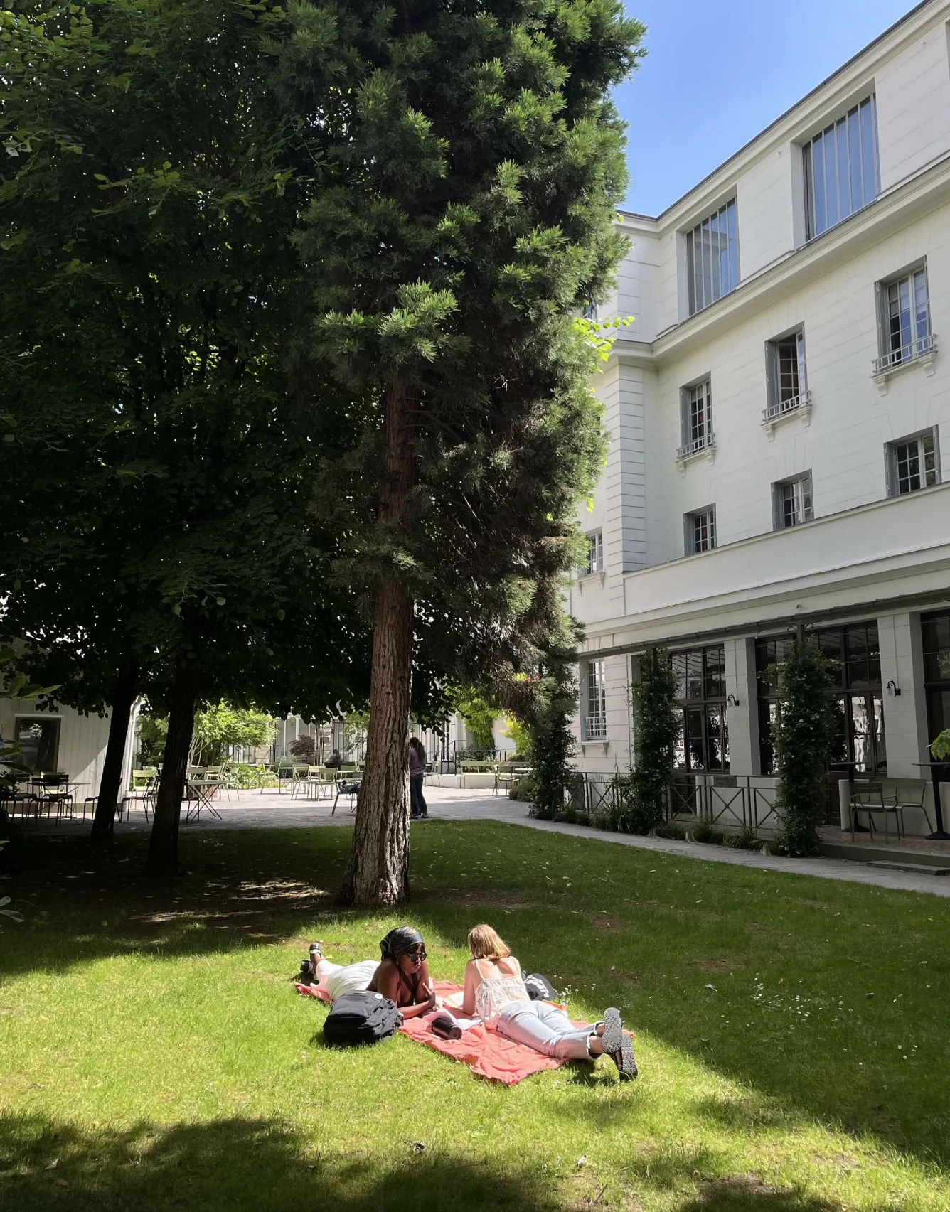 Students studying in the garden